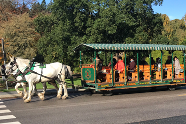 Stanley Park