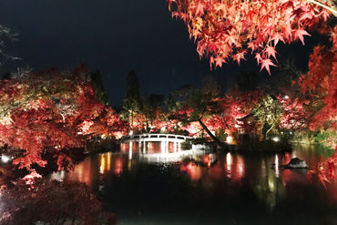 Lo stagno Hojo del tempio Eikandō